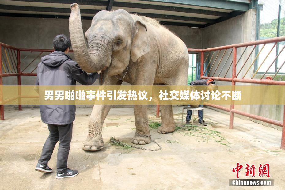 男男啪啪事件引发热议，社交媒体讨论不断