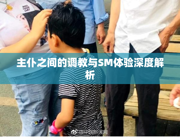 主仆之间的调教与SM体验深度解析