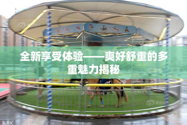 全新享受体验——爽好舒重的多重魅力揭秘