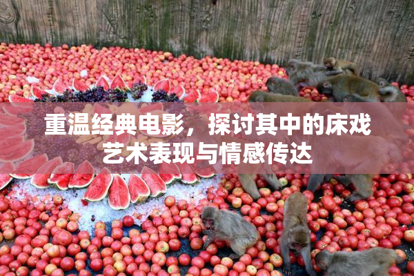 重温经典电影，探讨其中的床戏艺术表现与情感传达