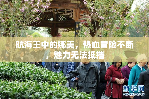 航海王中的娜美，热血冒险不断，魅力无法抵挡