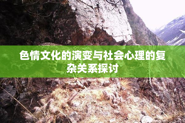 色情文化的演变与社会心理的复杂关系探讨
