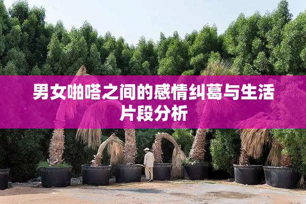 男女啪嗒之间的感情纠葛与生活片段分析