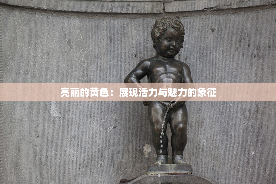 亮丽的黄色：展现活力与魅力的象征