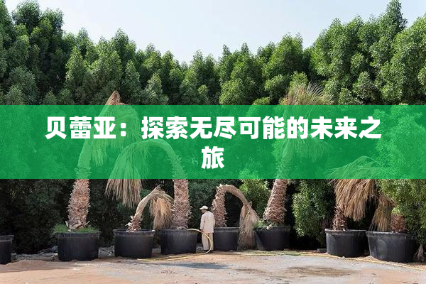 贝蕾亚：探索无尽可能的未来之旅