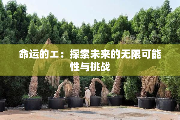命运的エ：探索未来的无限可能性与挑战