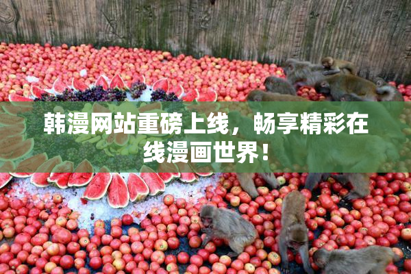 韩漫网站重磅上线，畅享精彩在线漫画世界！