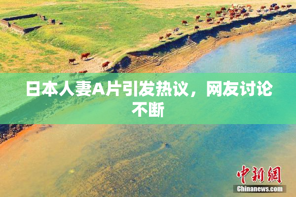 日本人妻A片引发热议，网友讨论不断