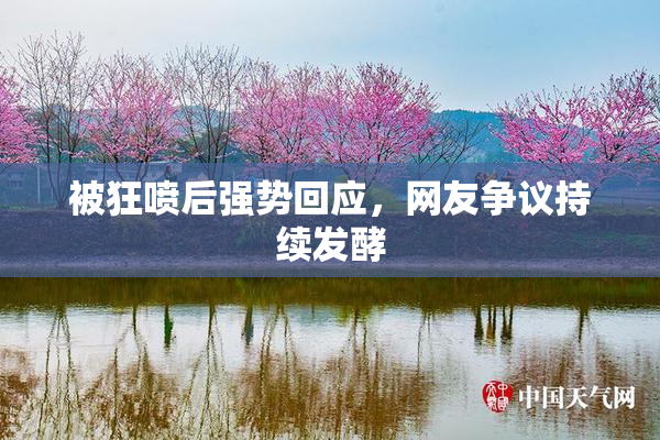 被狂喷后强势回应，网友争议持续发酵