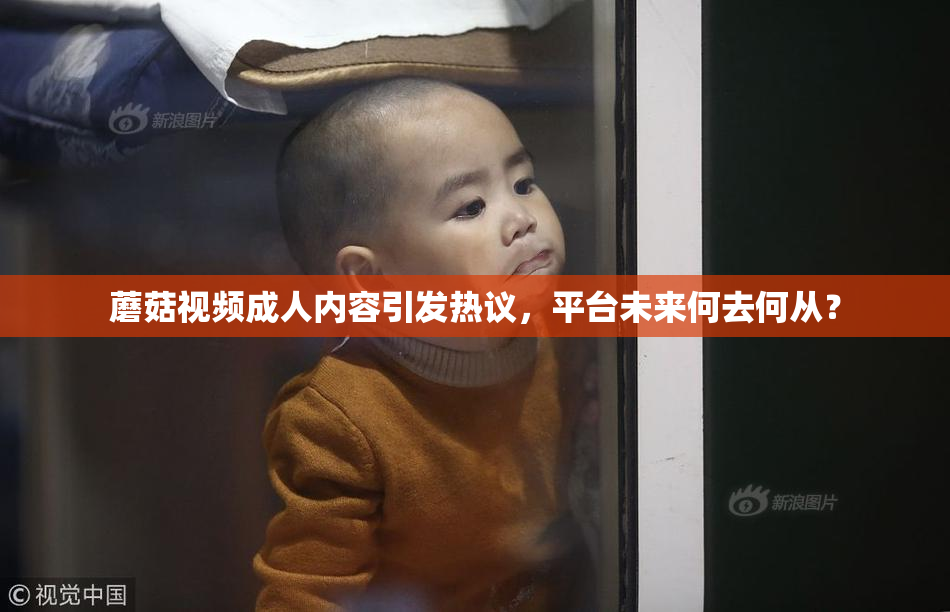 蘑菇视频成人内容引发热议，平台未来何去何从？