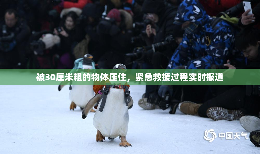 被30厘米粗的物体压住，紧急救援过程实时报道