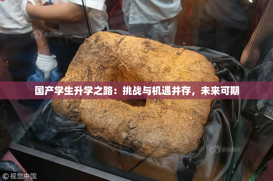 国产学生升学之路：挑战与机遇并存，未来可期