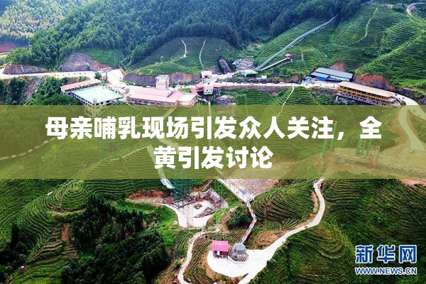 母亲哺乳现场引发众人关注，全黄引发讨论