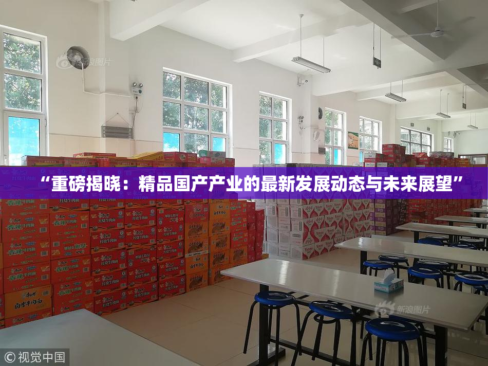 “重磅揭晓：精品国产产业的最新发展动态与未来展望”
