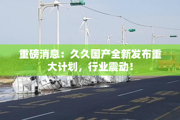 重磅消息：久久国产全新发布重大计划，行业震动！