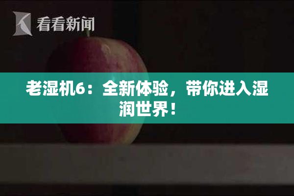 老湿机6：全新体验，带你进入湿润世界！