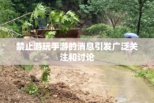 禁止游玩手游的消息引发广泛关注和讨论