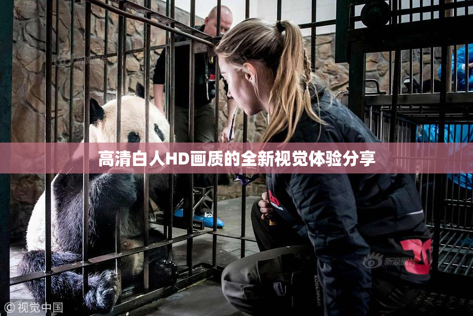 高清白人HD画质的全新视觉体验分享