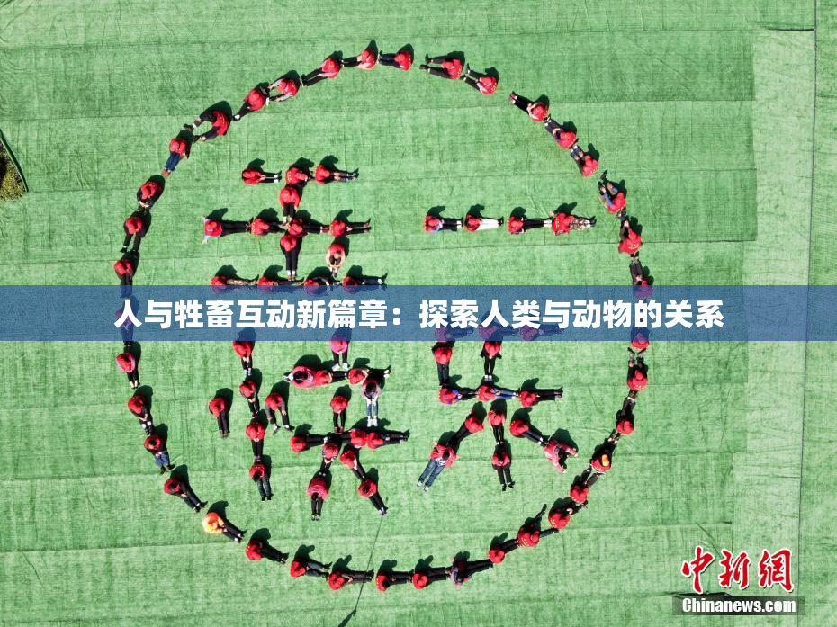 人与牲畜互动新篇章：探索人类与动物的关系