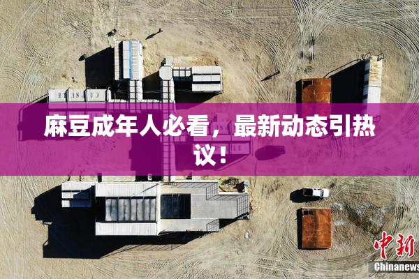 麻豆成年人必看，最新动态引热议！