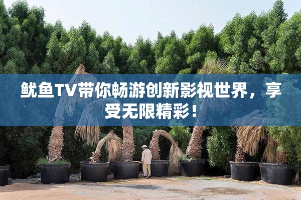 鱿鱼TV带你畅游创新影视世界，享受无限精彩！