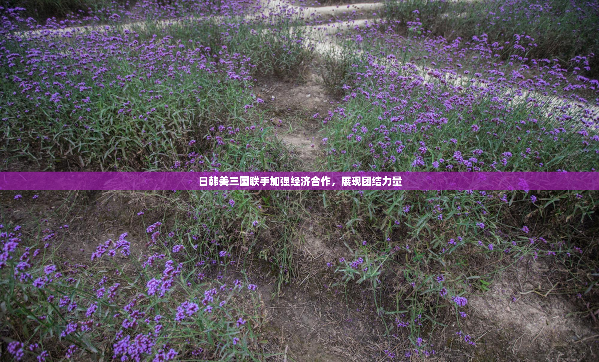 日韩美三国联手加强经济合作，展现团结力量