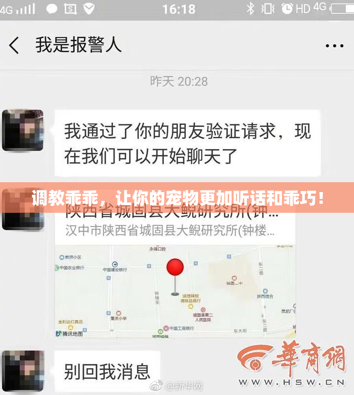 调教乖乖，让你的宠物更加听话和乖巧！