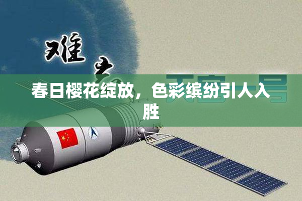 春日樱花绽放，色彩缤纷引人入胜