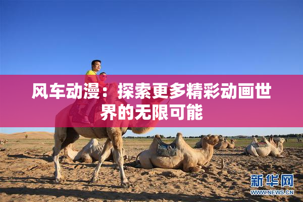 风车动漫：探索更多精彩动画世界的无限可能
