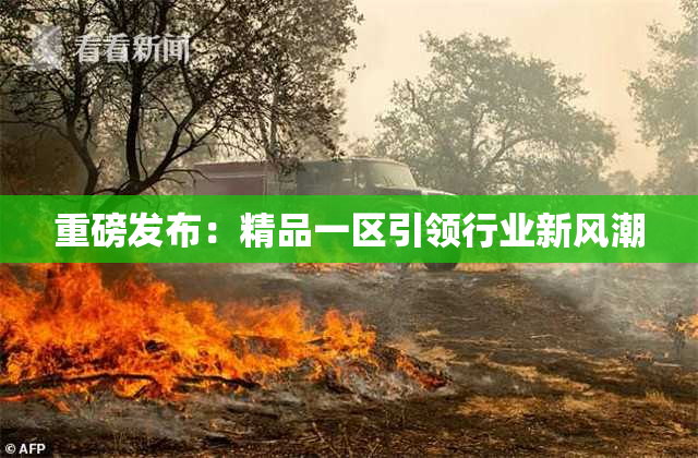 重磅发布：精品一区引领行业新风潮