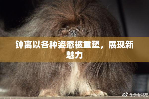 钟离以各种姿态被重塑，展现新魅力