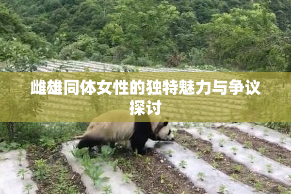 雌雄同体女性的独特魅力与争议探讨