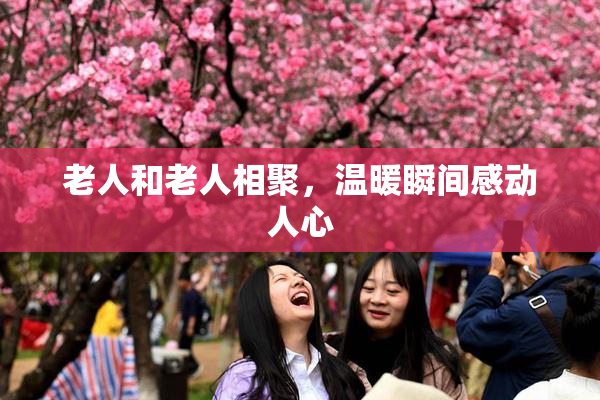 老人和老人相聚，温暖瞬间感动人心