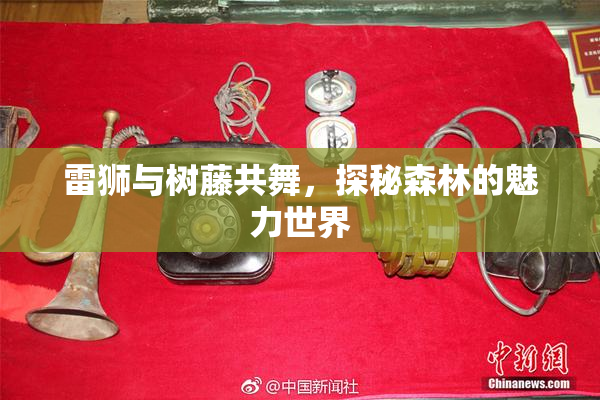 雷狮与树藤共舞，探秘森林的魅力世界