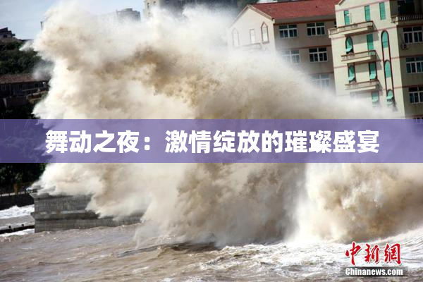 舞动之夜：激情绽放的璀璨盛宴