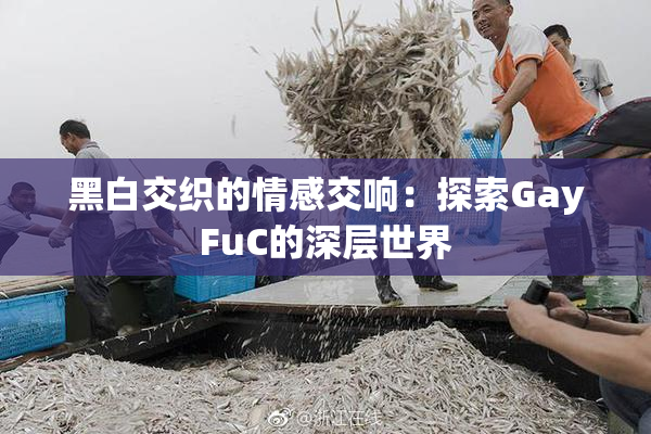 黑白交织的情感交响：探索GayFuC的深层世界