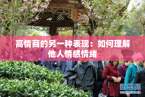 高情商的另一种表现：如何理解他人情感情绪