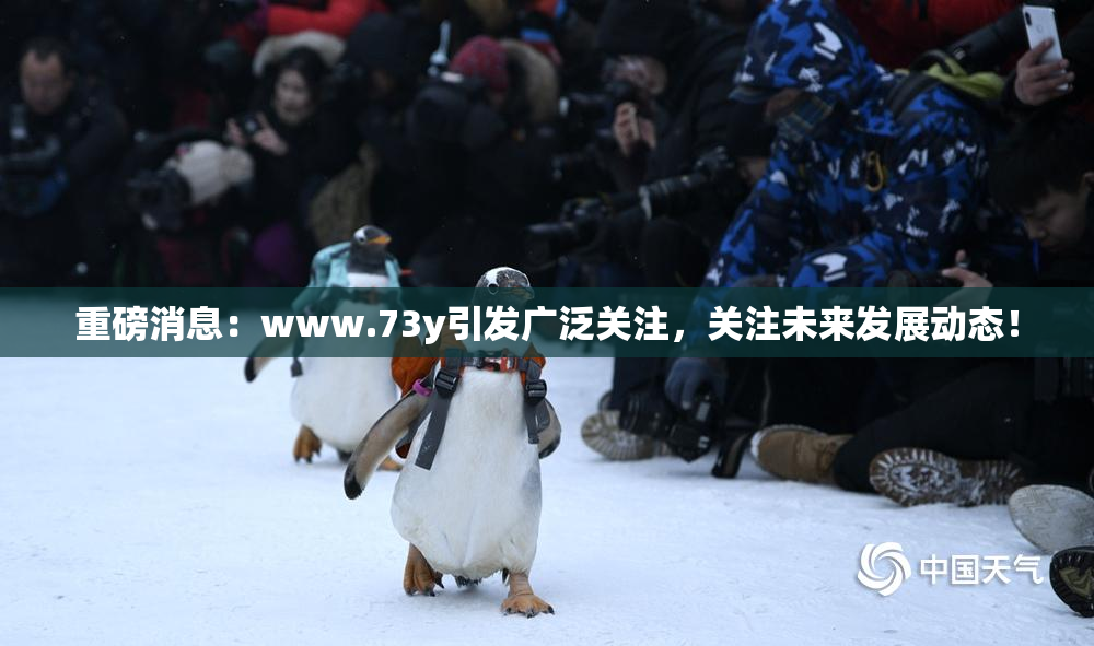 重磅消息：www.73y引发广泛关注，关注未来发展动态！