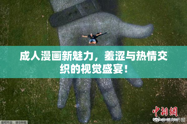 成人漫画新魅力，羞涩与热情交织的视觉盛宴！