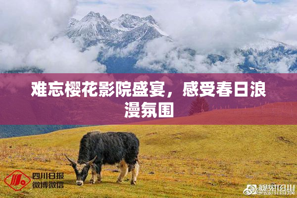 难忘樱花影院盛宴，感受春日浪漫氛围