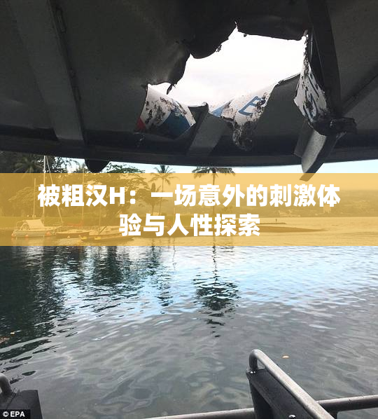 被粗汉H：一场意外的刺激体验与人性探索