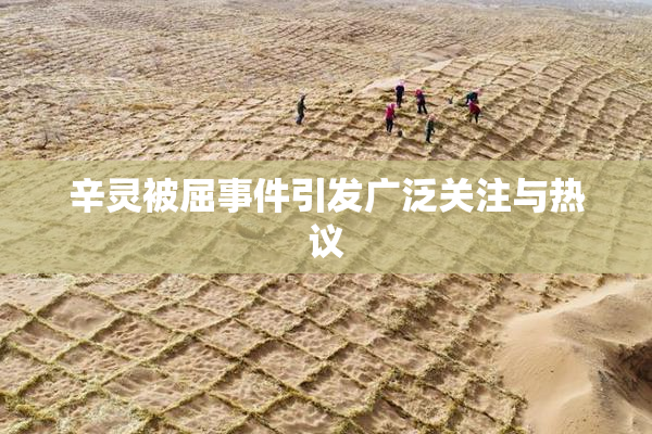 辛灵被屈事件引发广泛关注与热议