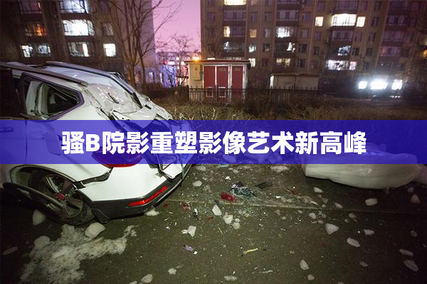 骚B院影重塑影像艺术新高峰