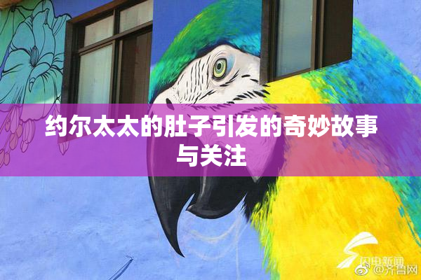 约尔太太的肚子引发的奇妙故事与关注