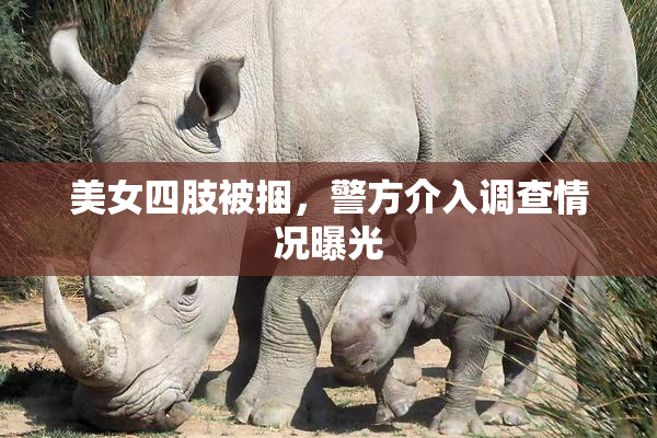 美女四肢被捆，警方介入调查情况曝光