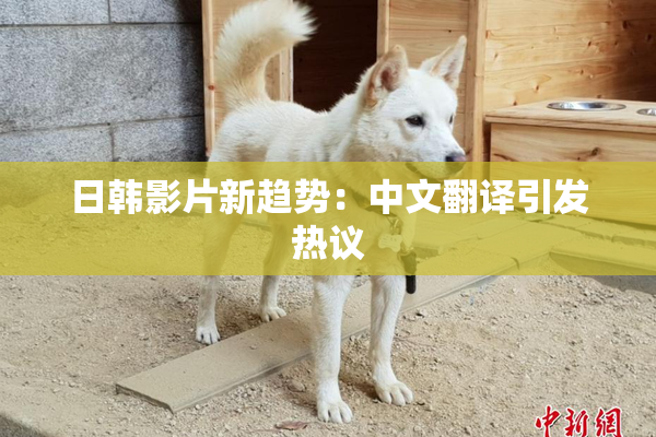 日韩影片新趋势：中文翻译引发热议