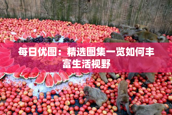 每日优图：精选图集一览如何丰富生活视野
