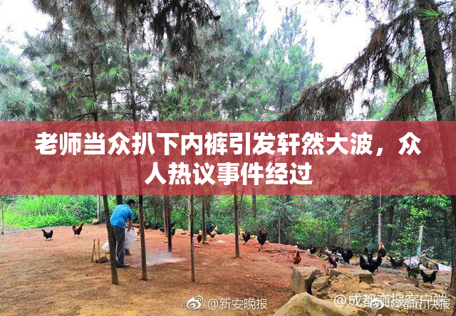 老师当众扒下内裤引发轩然大波，众人热议事件经过