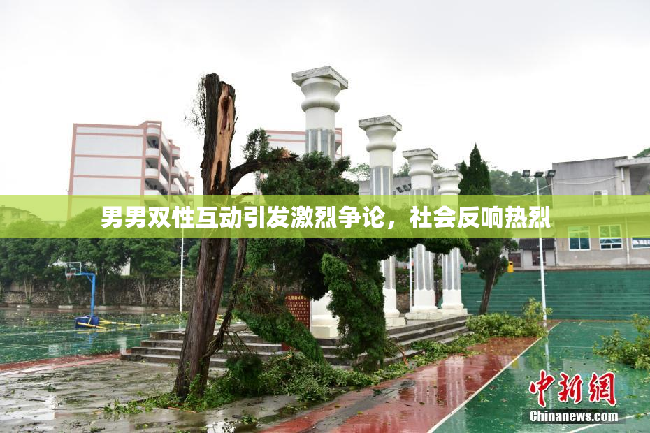 男男双性互动引发激烈争论，社会反响热烈