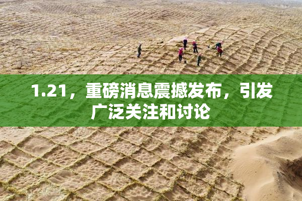 1.21，重磅消息震撼发布，引发广泛关注和讨论